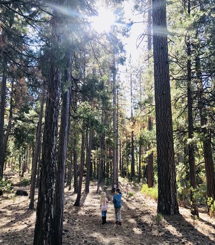 Students on the school walking track